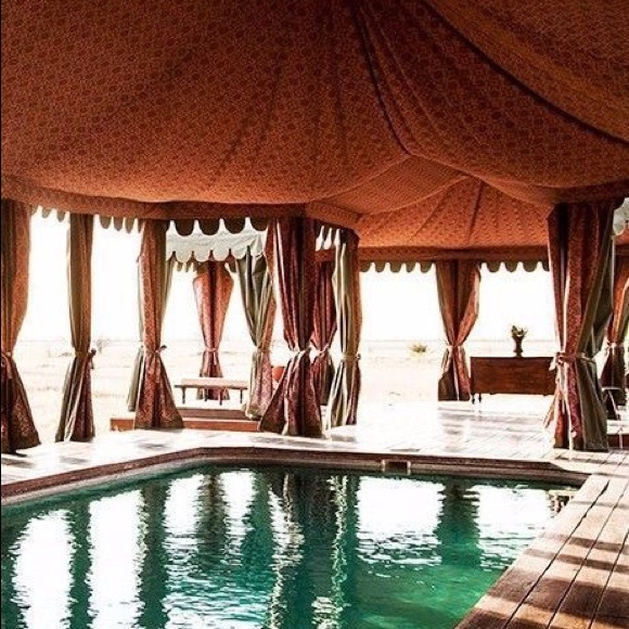 Meet your Posher, Hunter - Picture 1 of 1